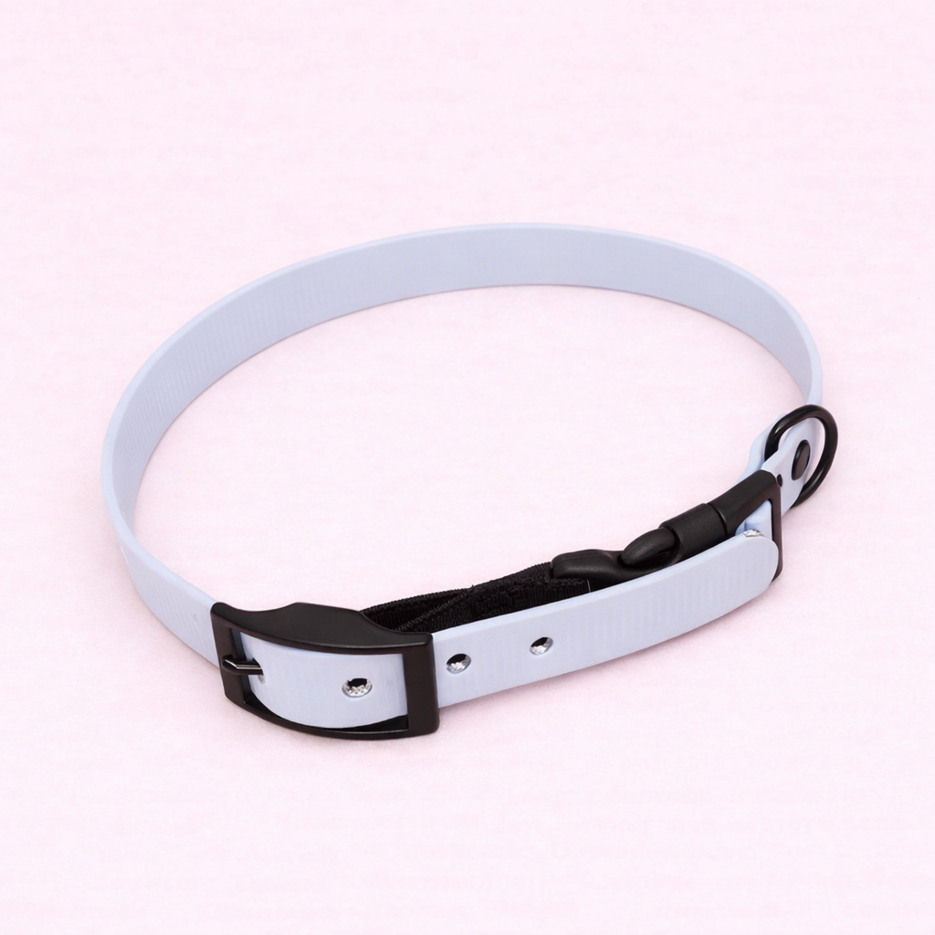 Dual clasp Ecollar Bungee