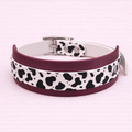 2 Layer Collar