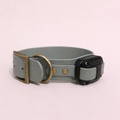 E-collar