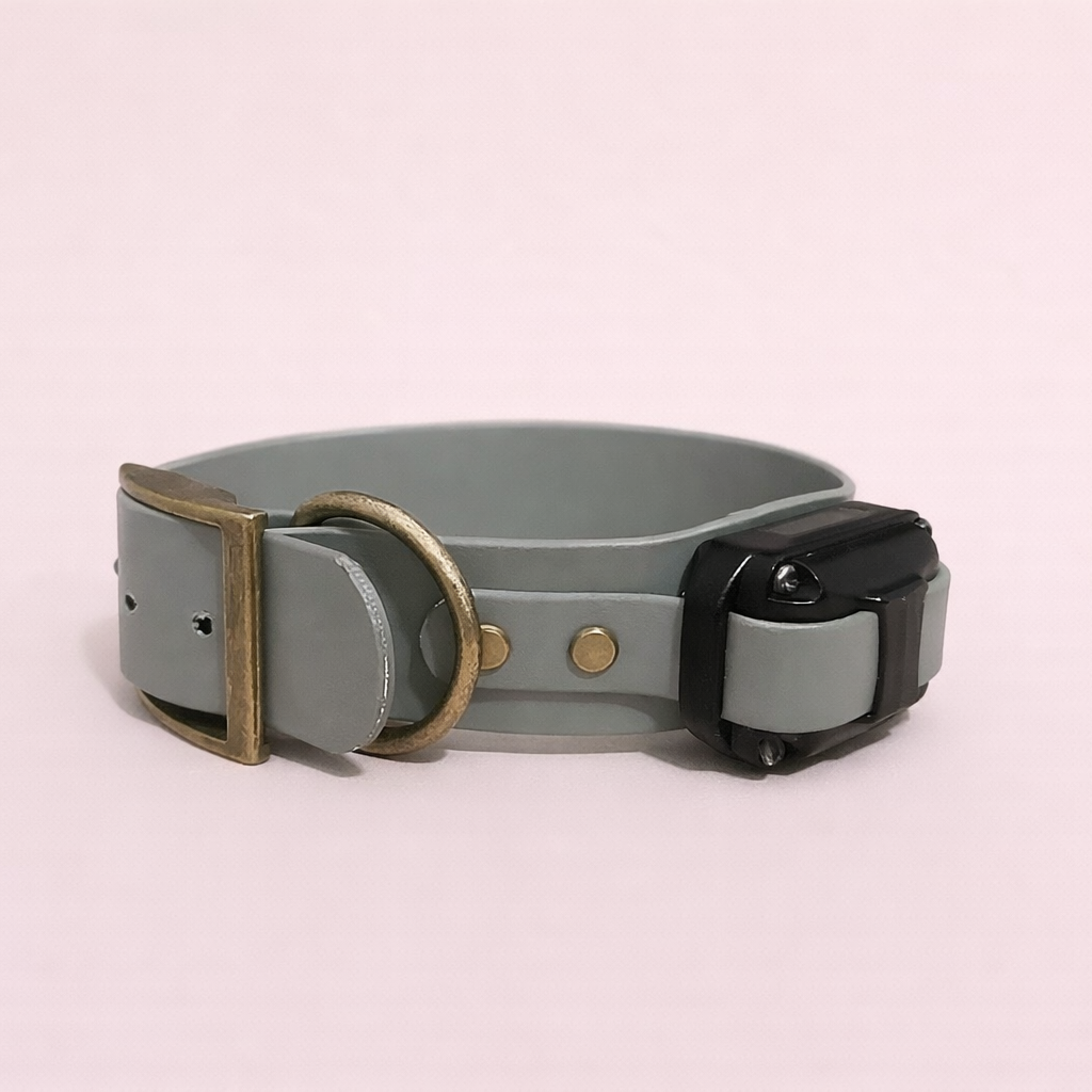 E-collar