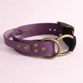 E-collar Bungee