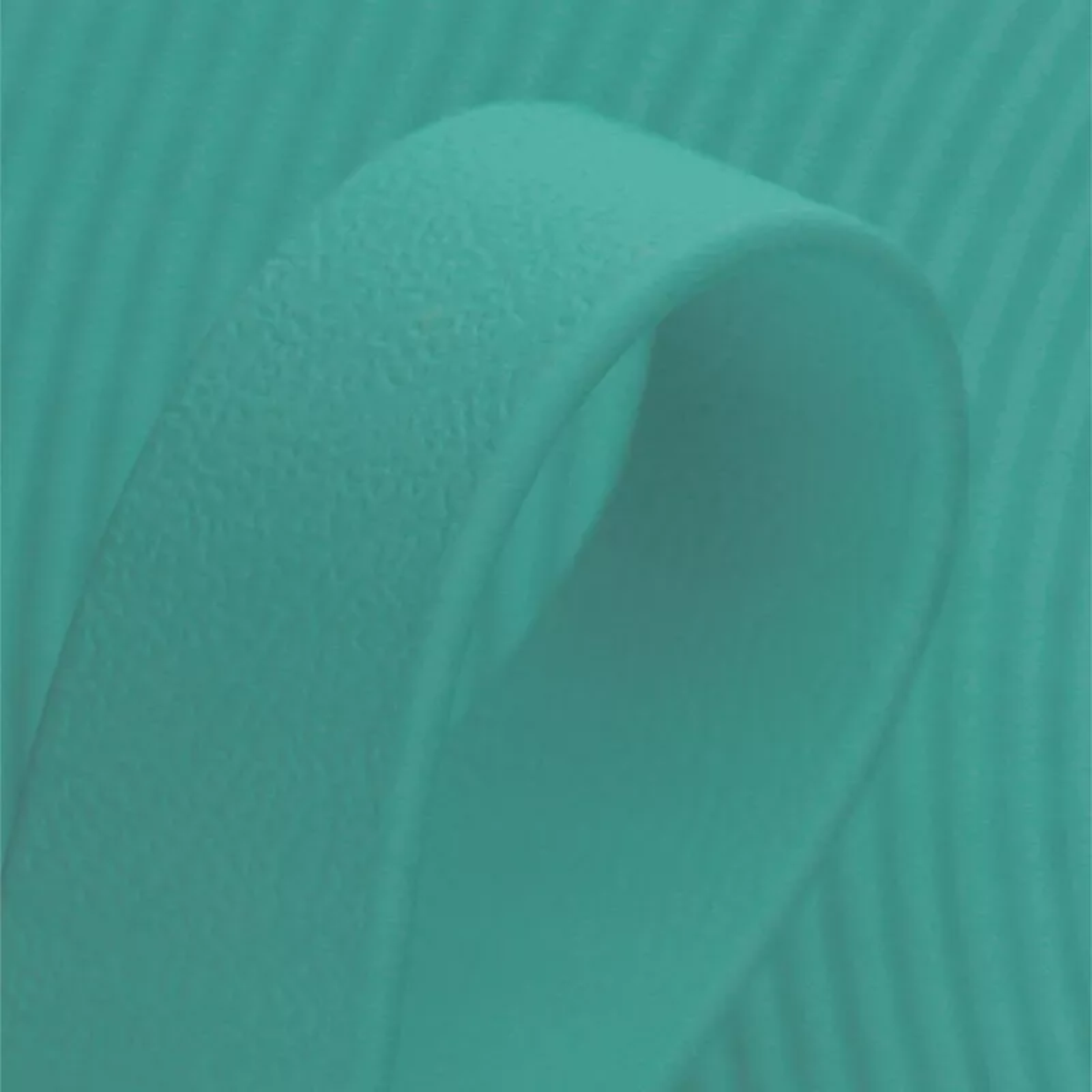 E-collar